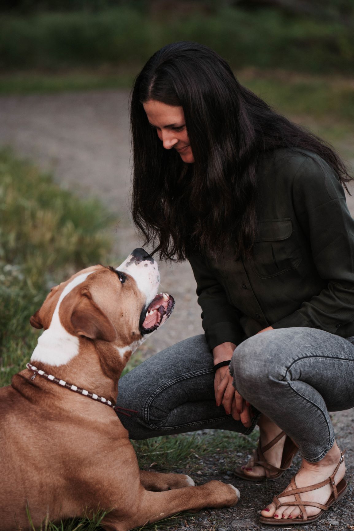 Hundeverhaltenstherapie